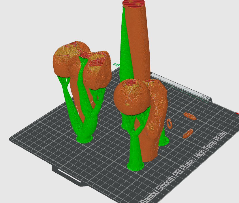 human femur