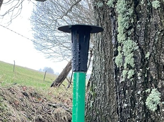Verdamperkorb zur Wildschweinvergrämung