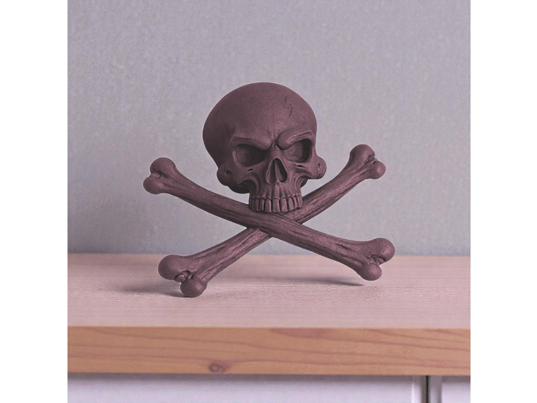Bones & Skull