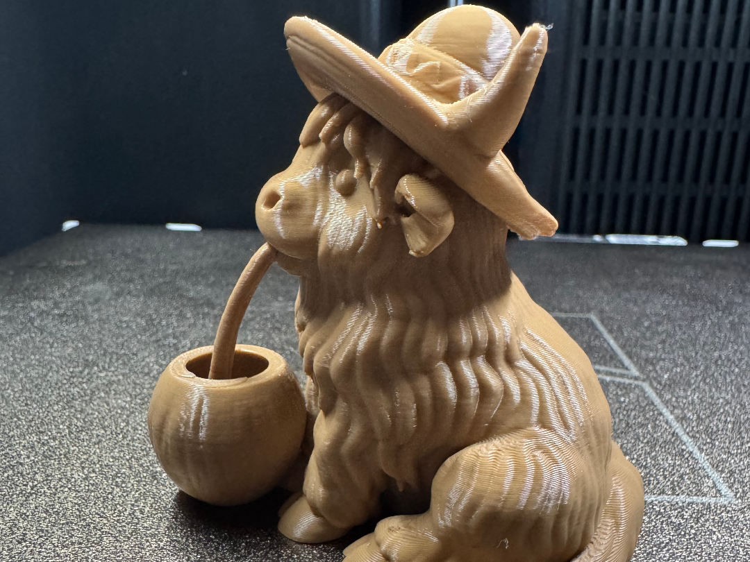 Hochlandrind mit Sombrero und Kokosnuss