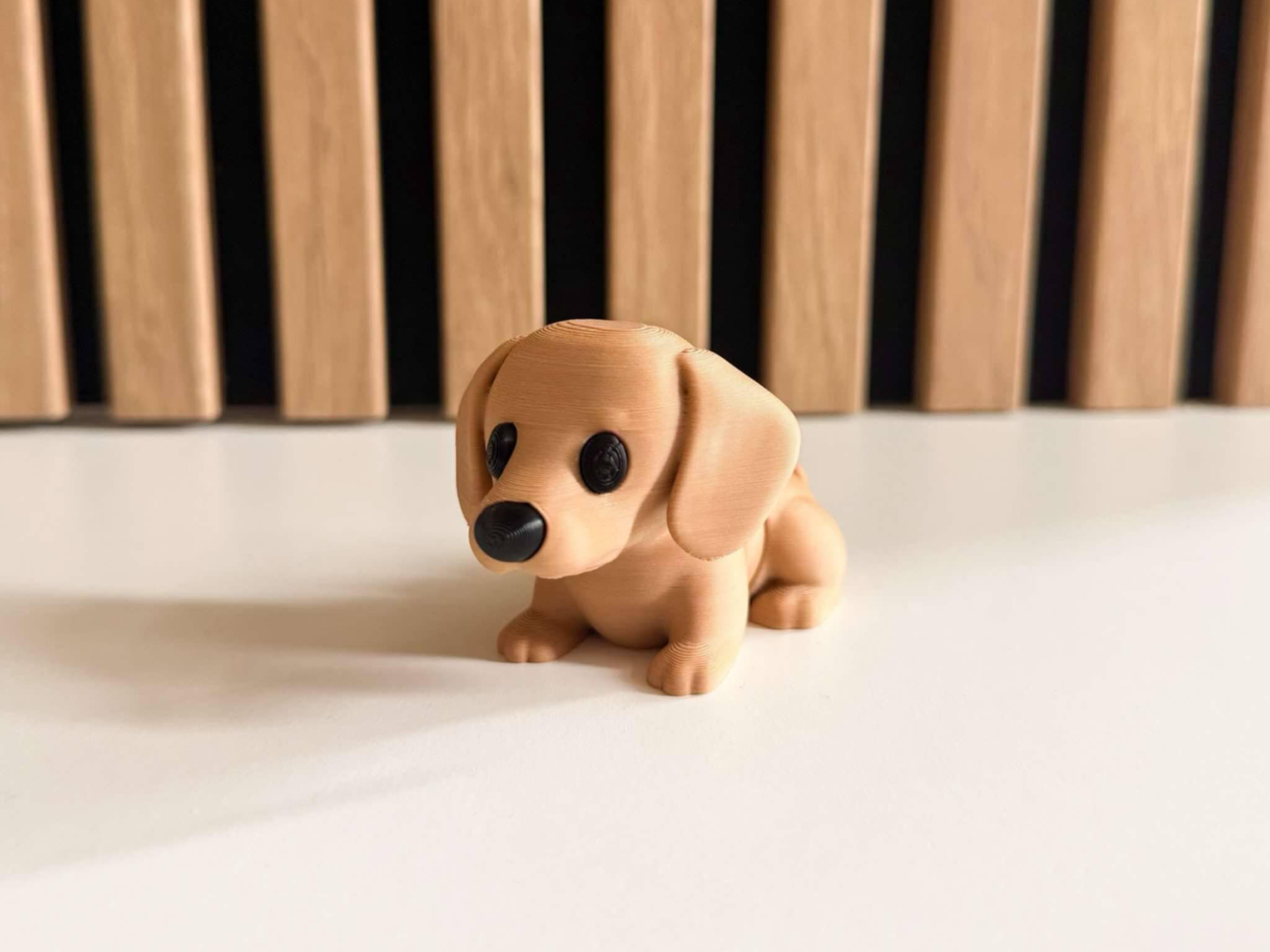 Flexi dachshund dog