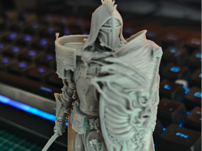 Diablo4 Paladin