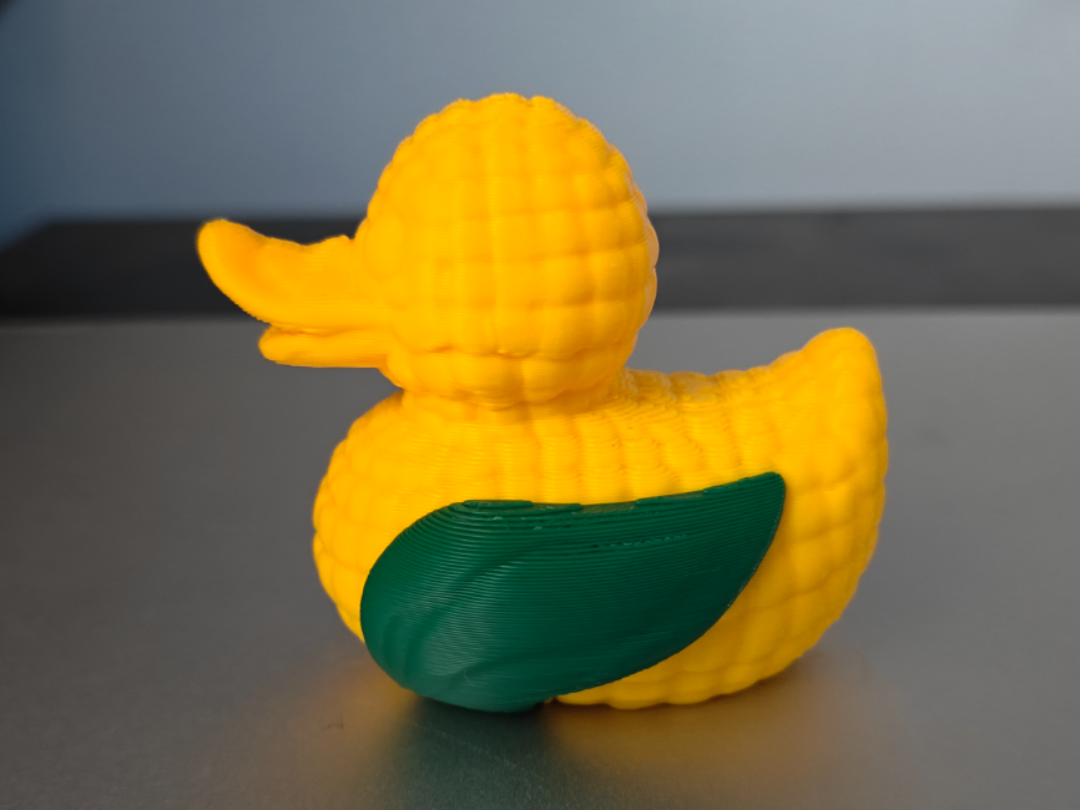 Corn Duck