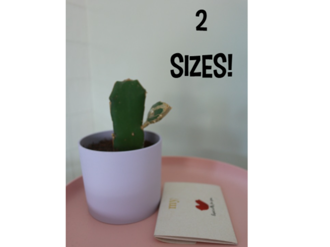 Flowerpot