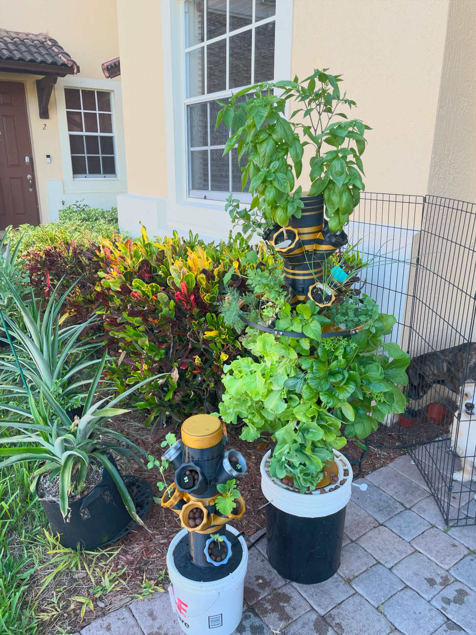 Hydroponic Plant Tower