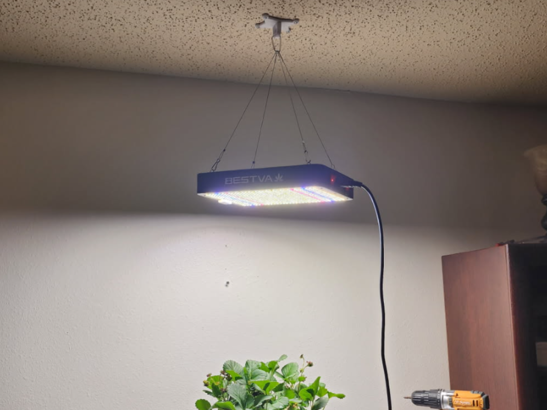 Grow Light Ceiling Hook Post