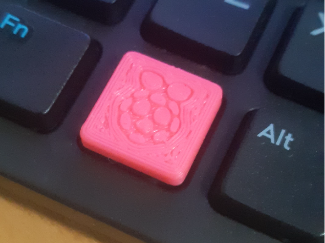 Dell KB216 keyboard keycap with raspberry pi logo