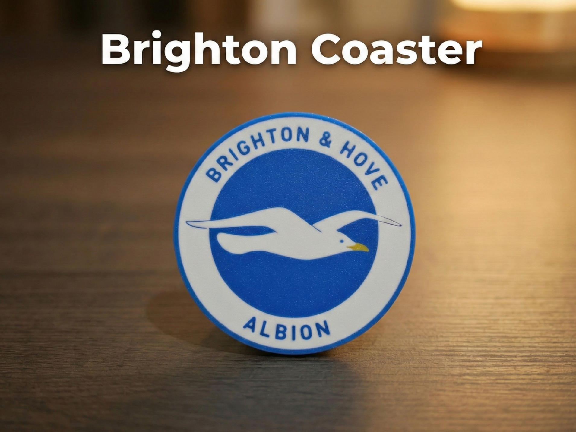 Brighton Coaster – Come On You Seagulls