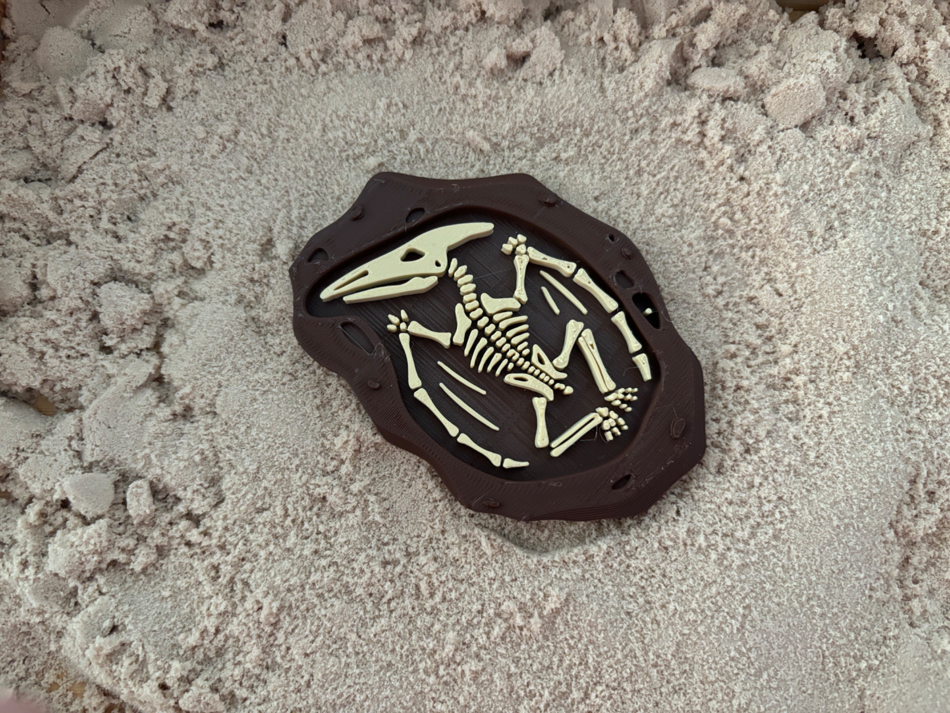 Fossil pterodactyl