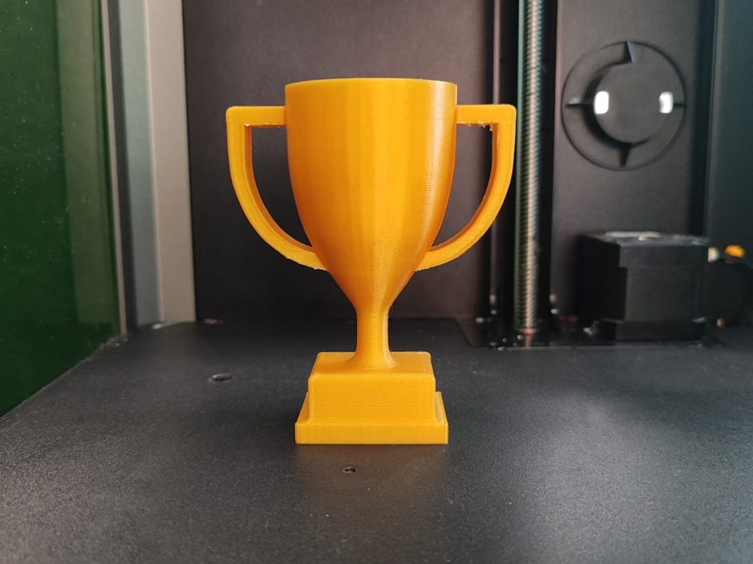 Copa del Triunfo "Campeón"