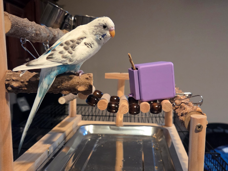 Cabinet Interactive Parrot Toy