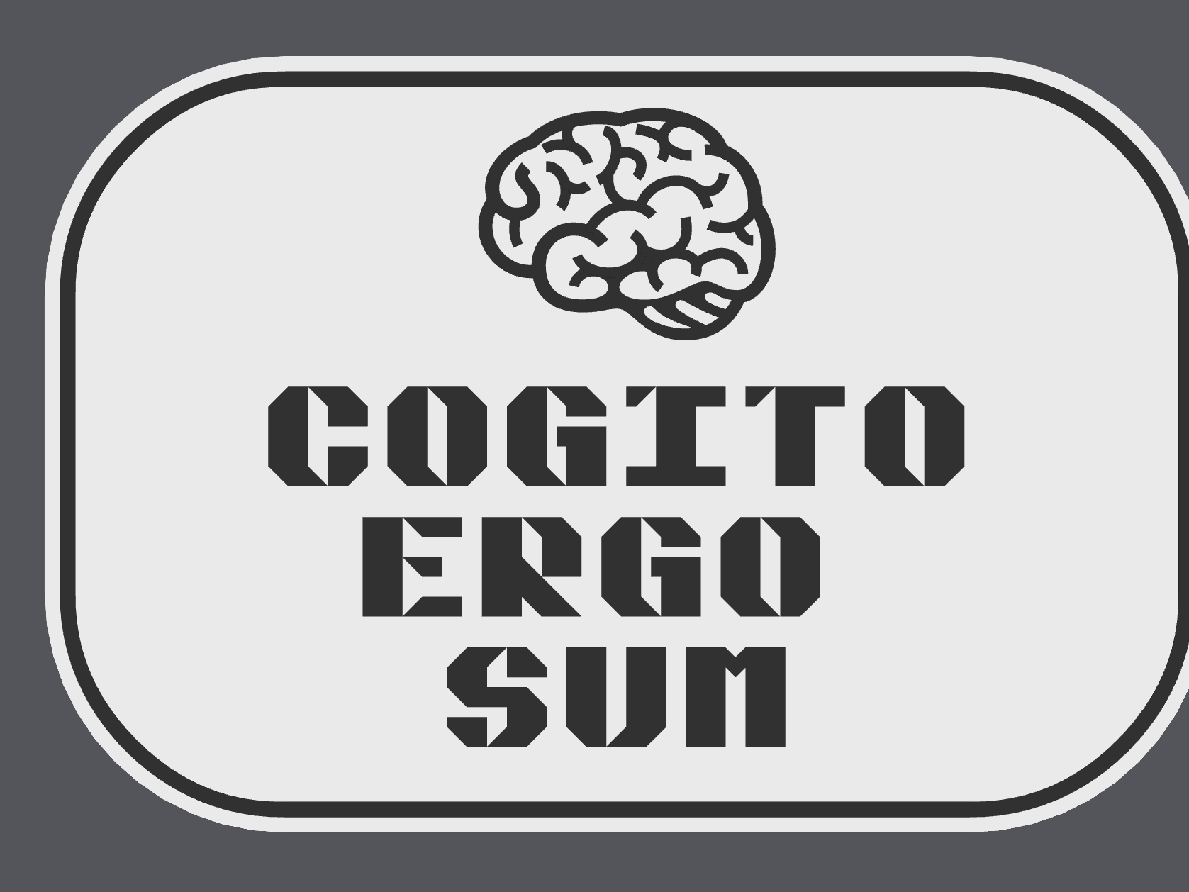 Cogito Ergo Sum