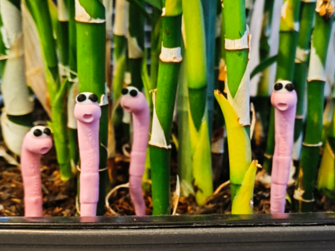 Potted worm