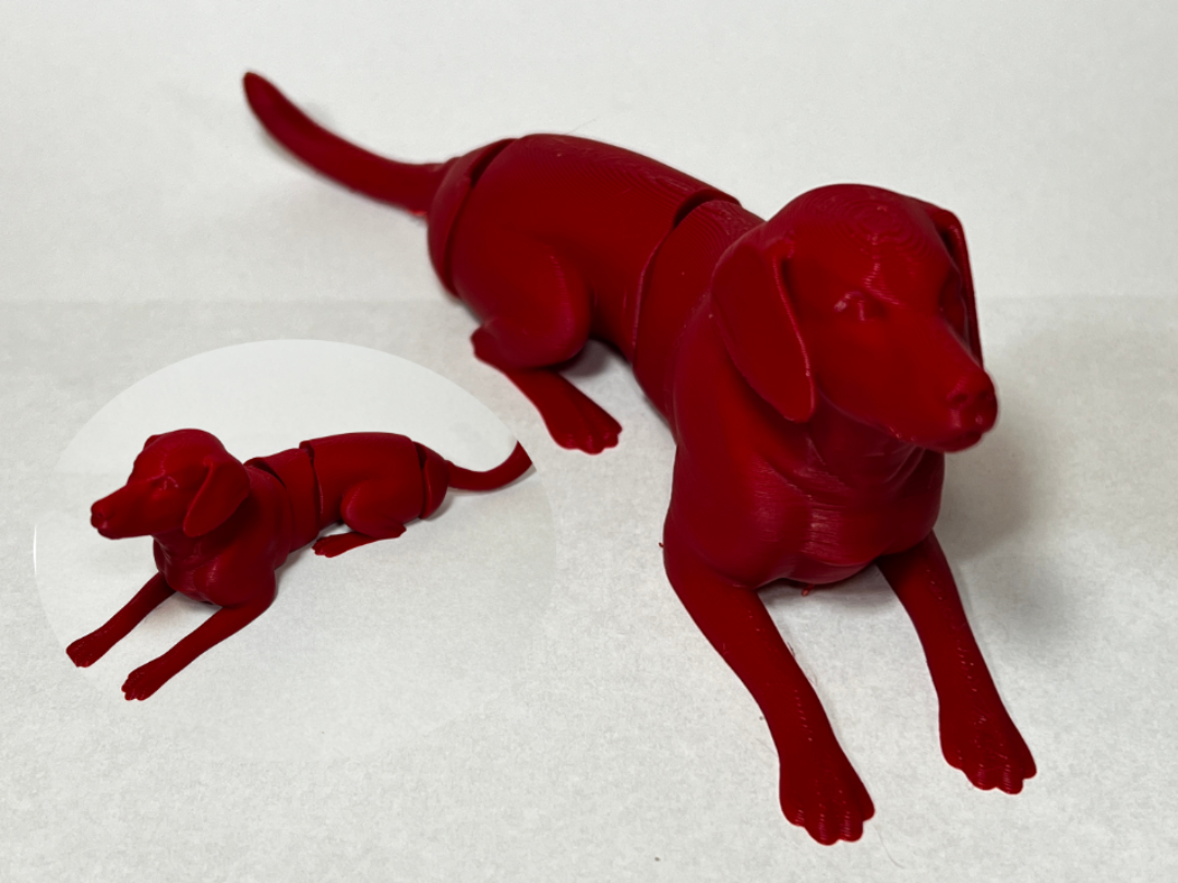 Flexi Dog - Flexi toy