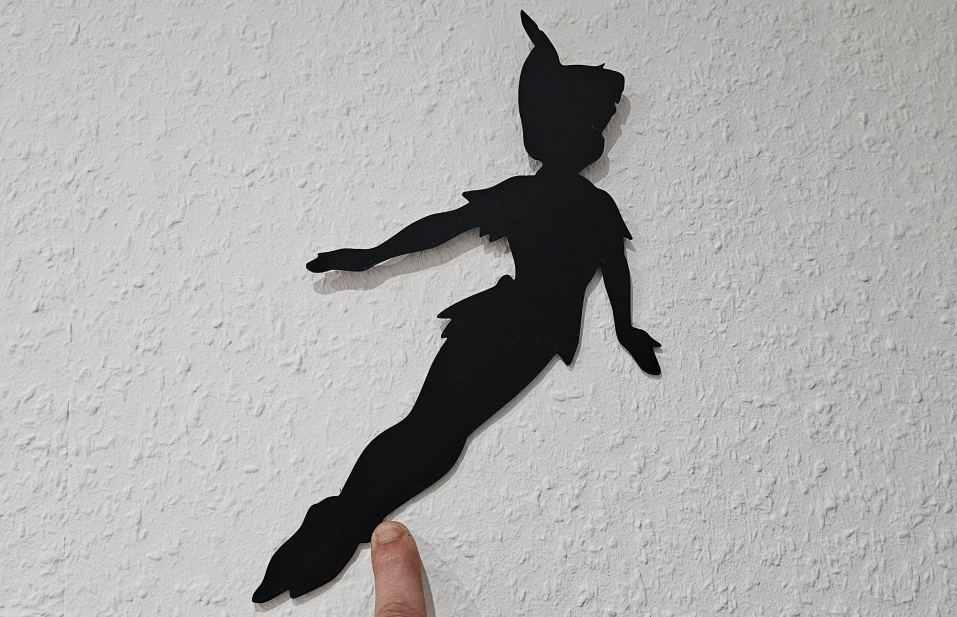 Disney Peter Pan Schatten Bild