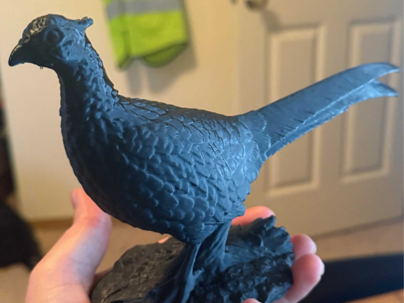 Pheasant