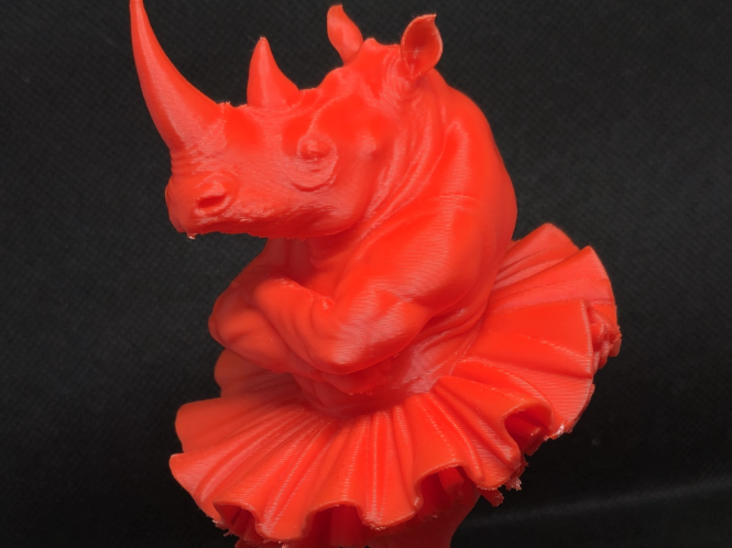 rhino ballerina