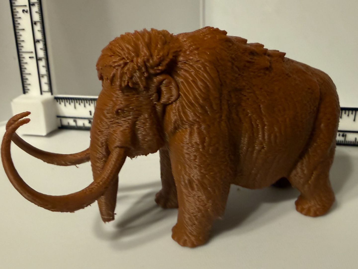 MAMMOTH