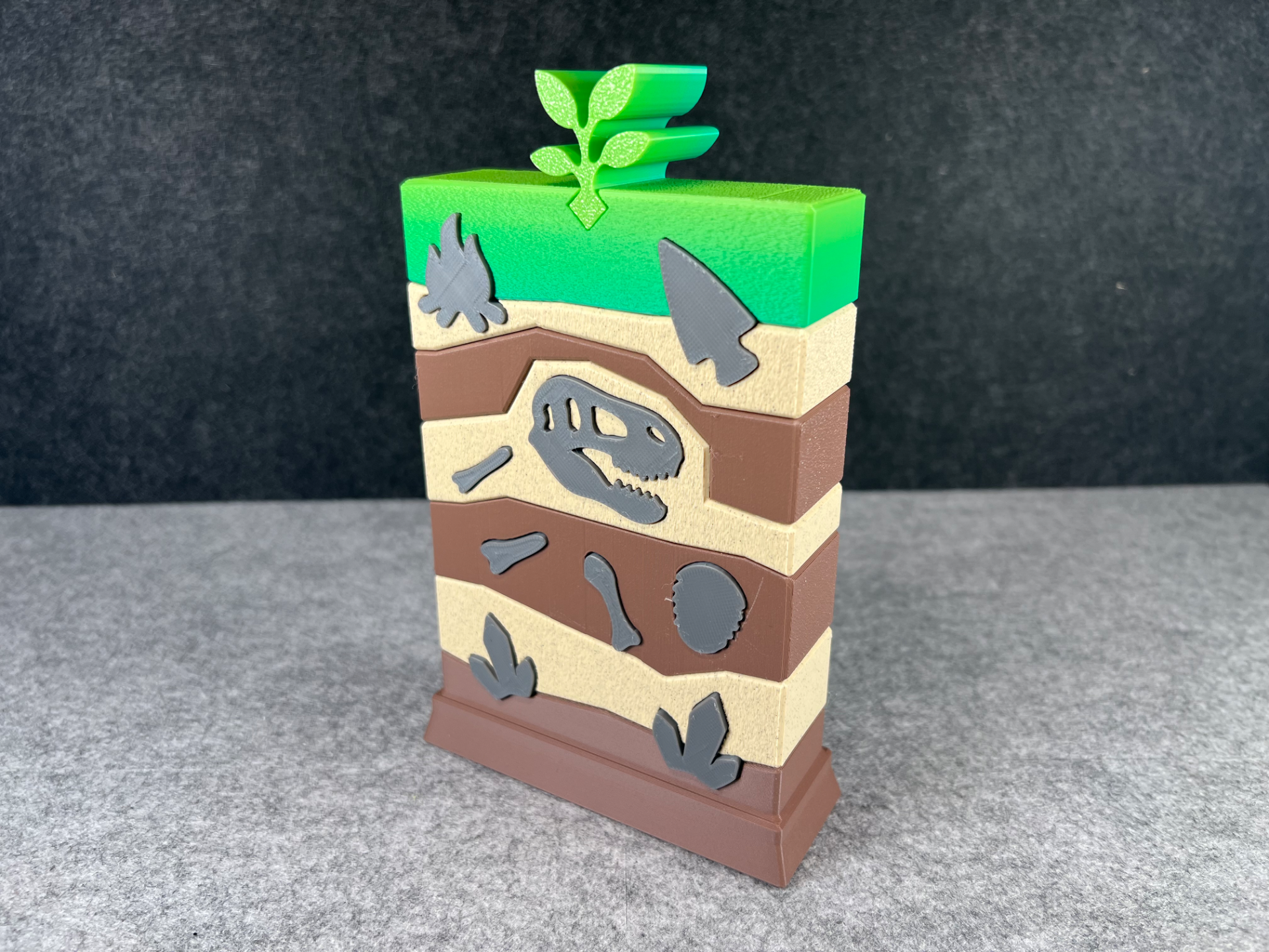 Stratigraphy Puzzle