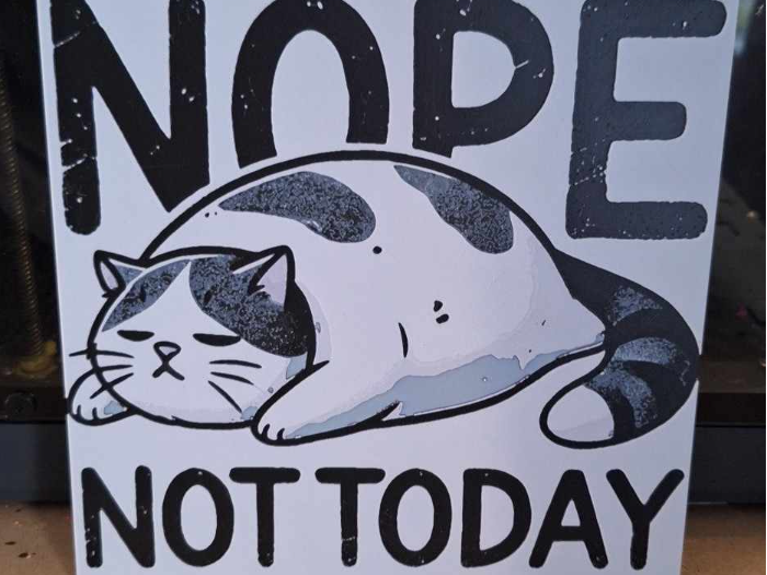 Nope Not Today - lazy cat - hueforge