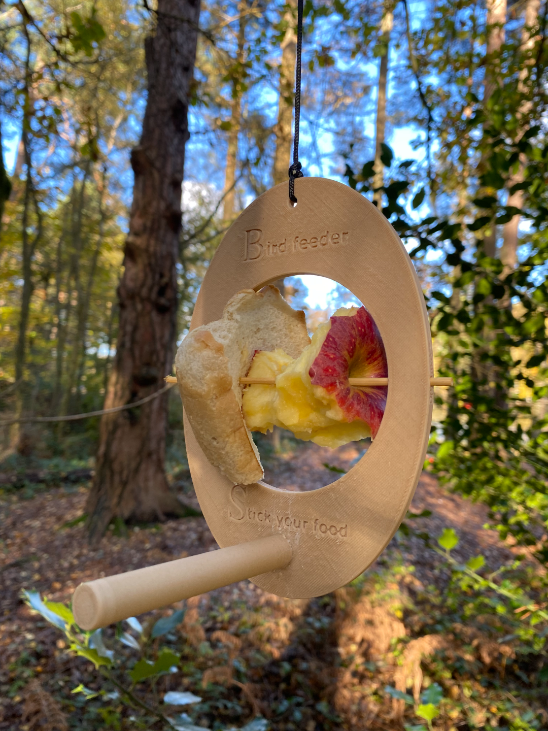 Bird Feeder - Stick your Food