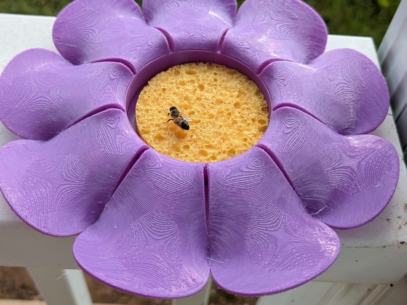 Pollinator Feeder - Save the Bees / Butterflies