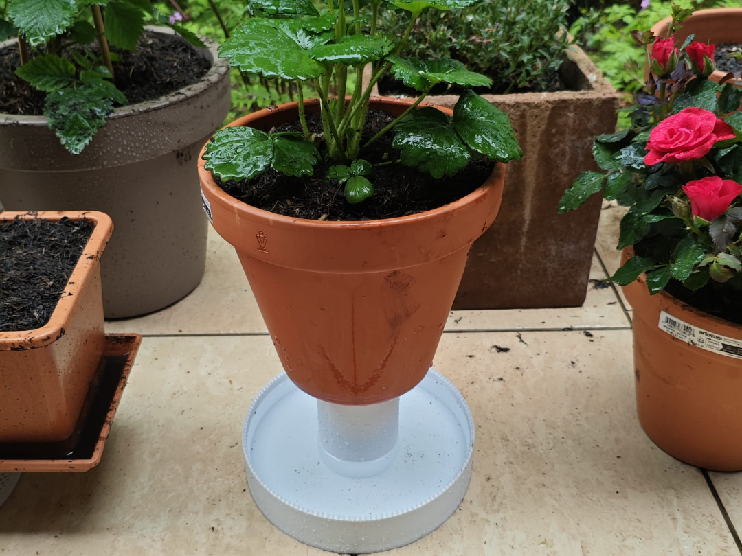 Slug Moat - Protect your plants! Parametric