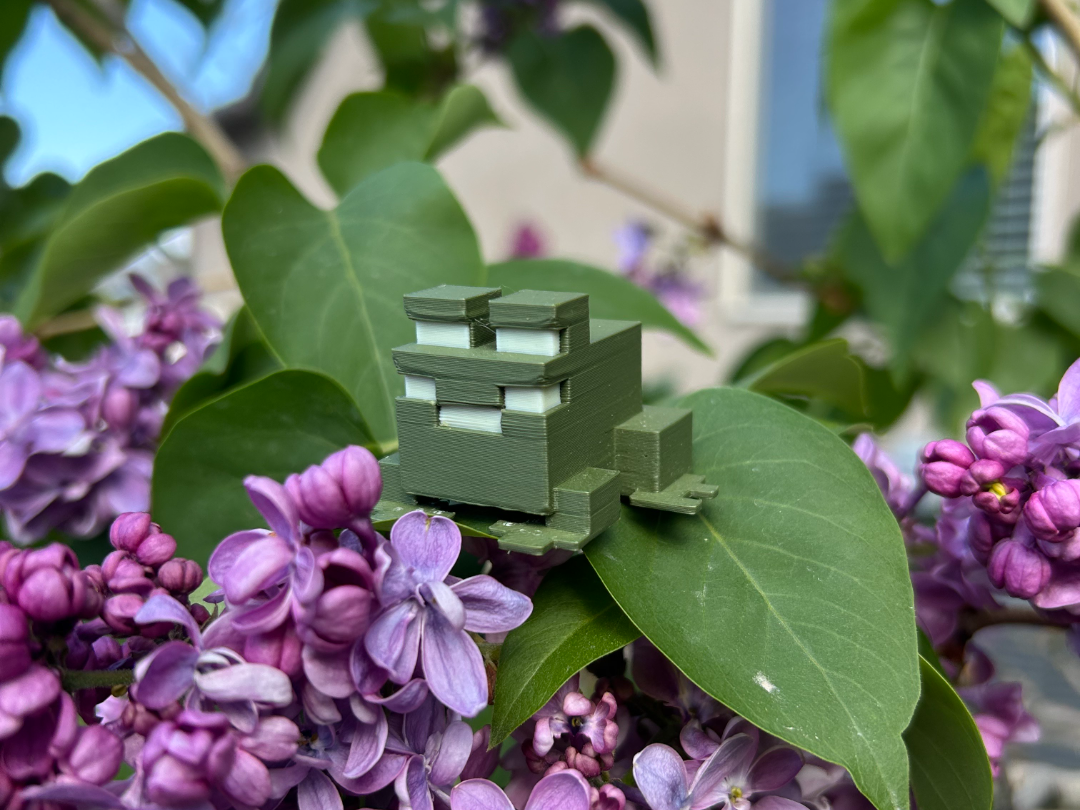 Frog: Minecraft 009