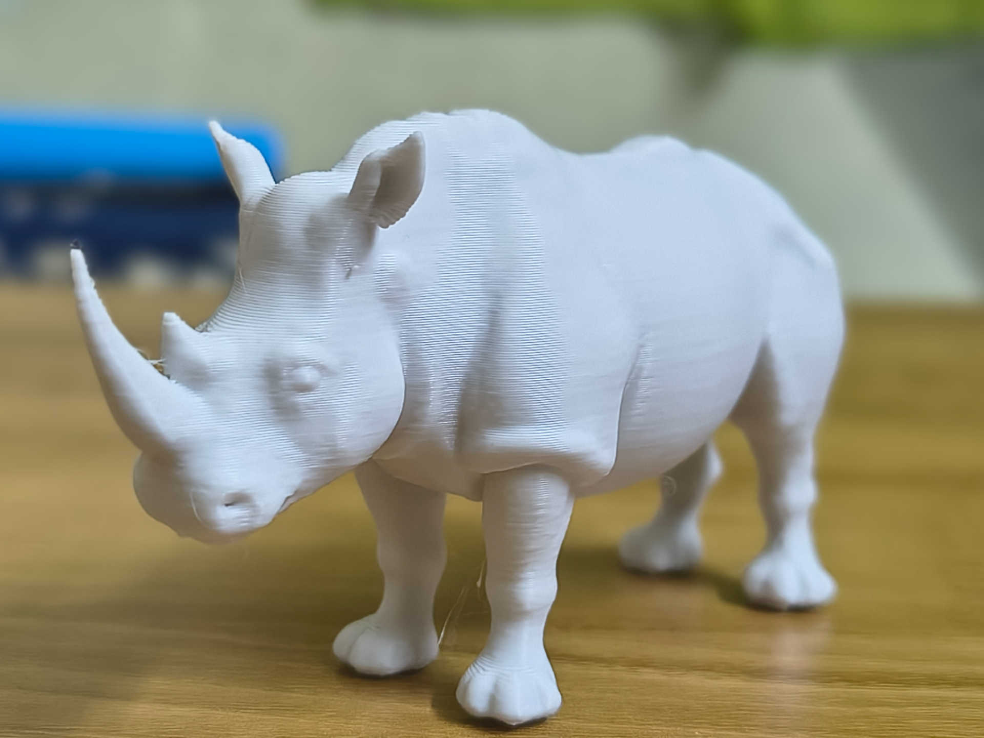 Rhino