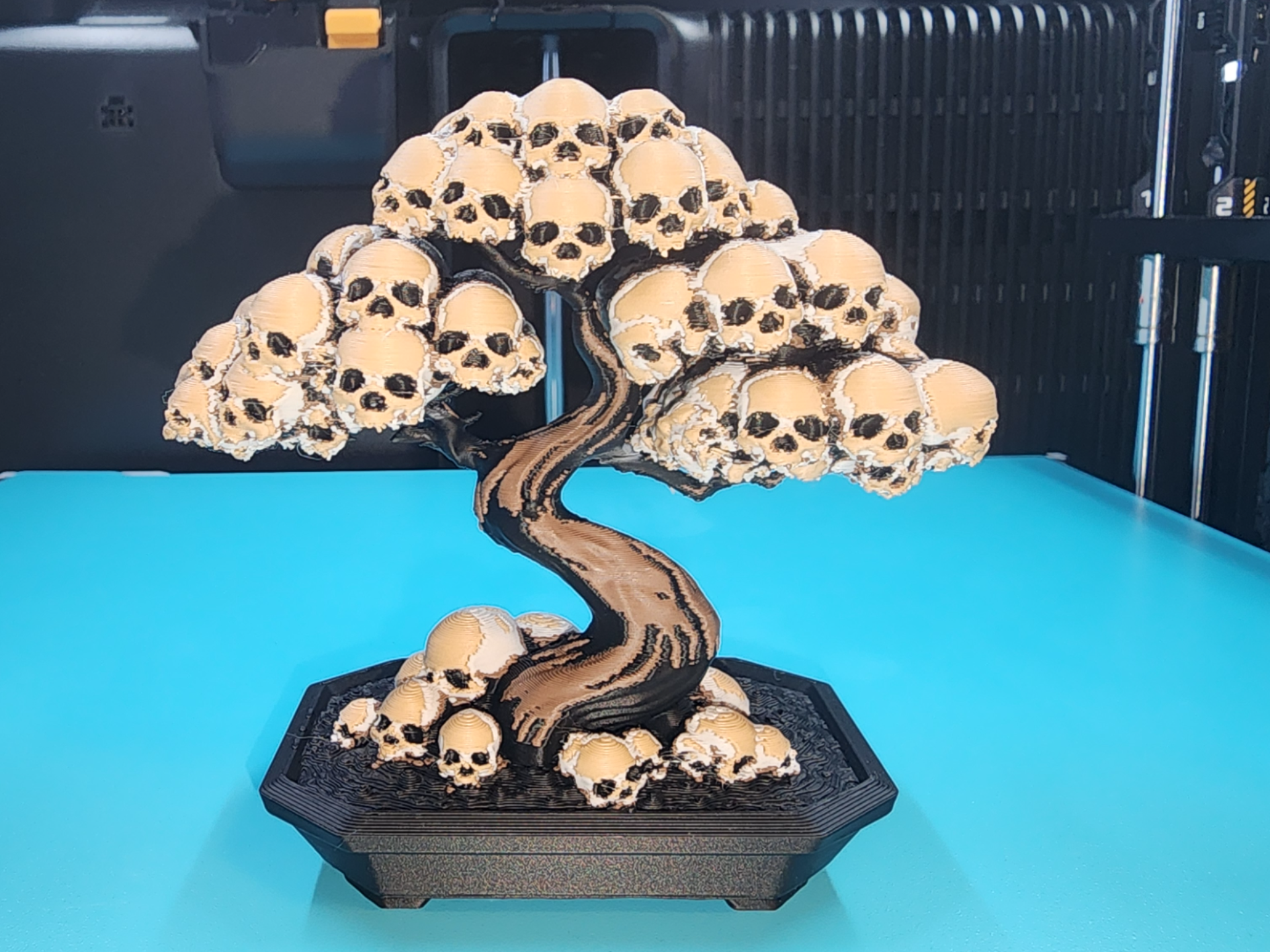 Bonsai Skull Tree