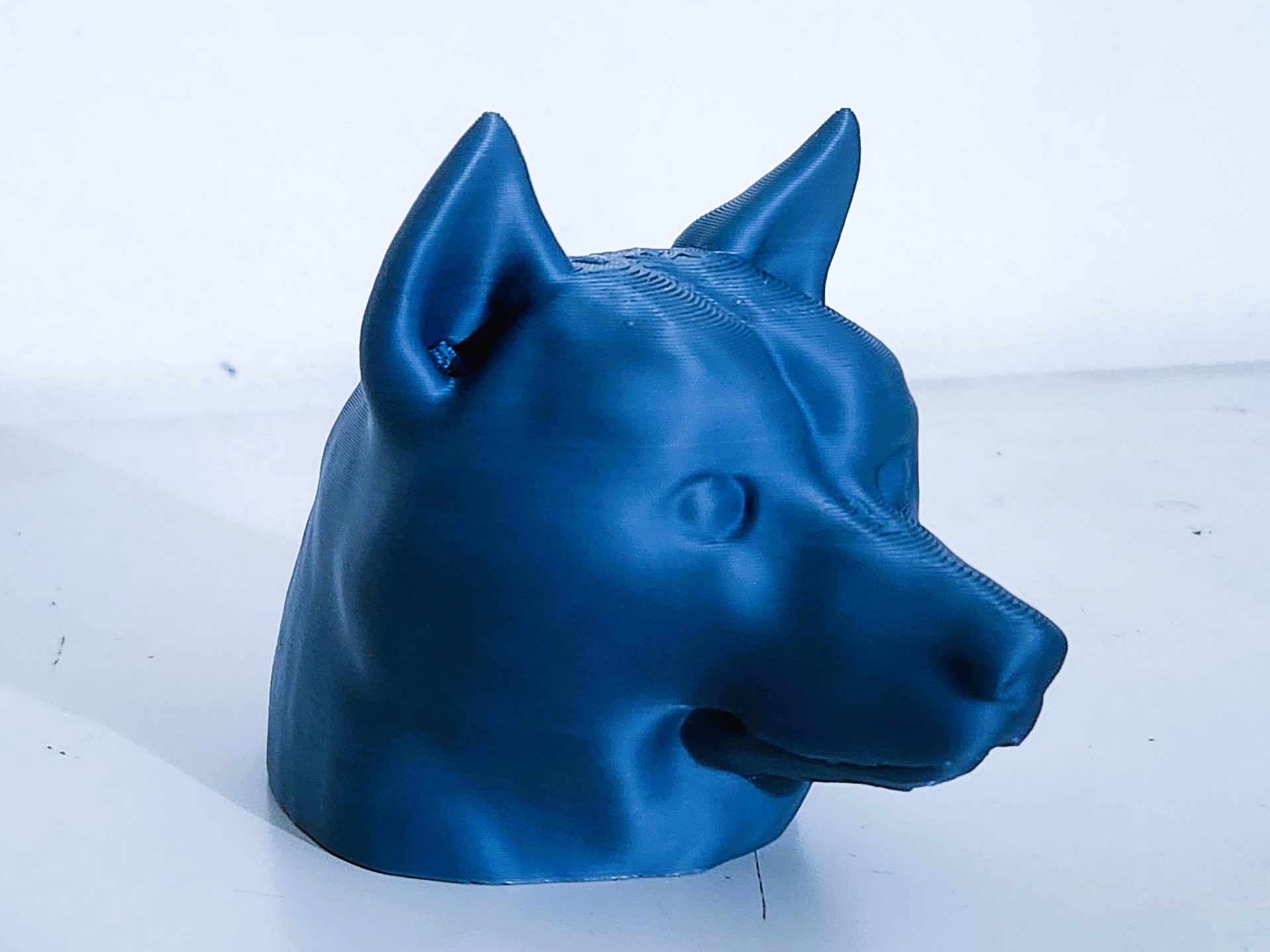 Doge Head - Shiba Inu sculpture