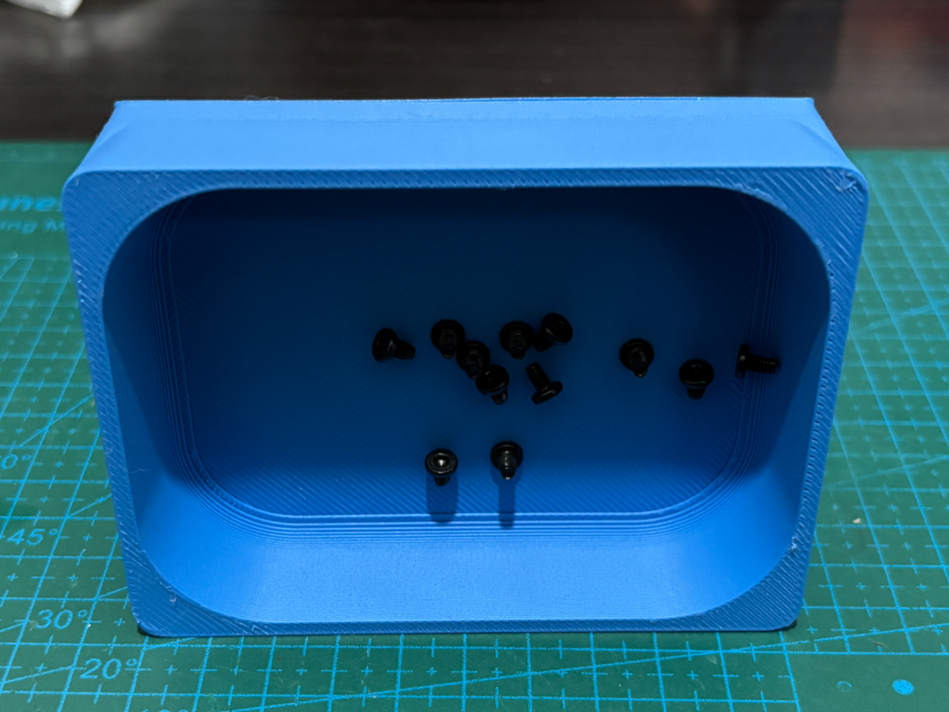 Magnetic screw tray