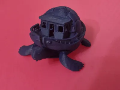 barca tartaruga