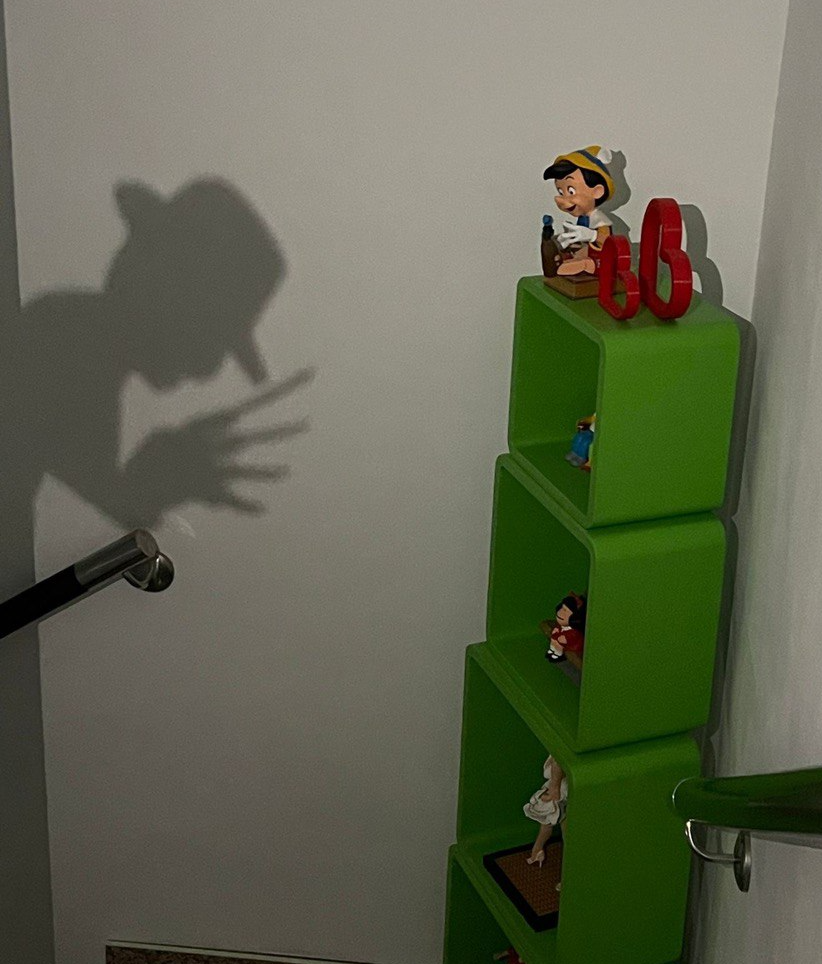 Silueta fredi