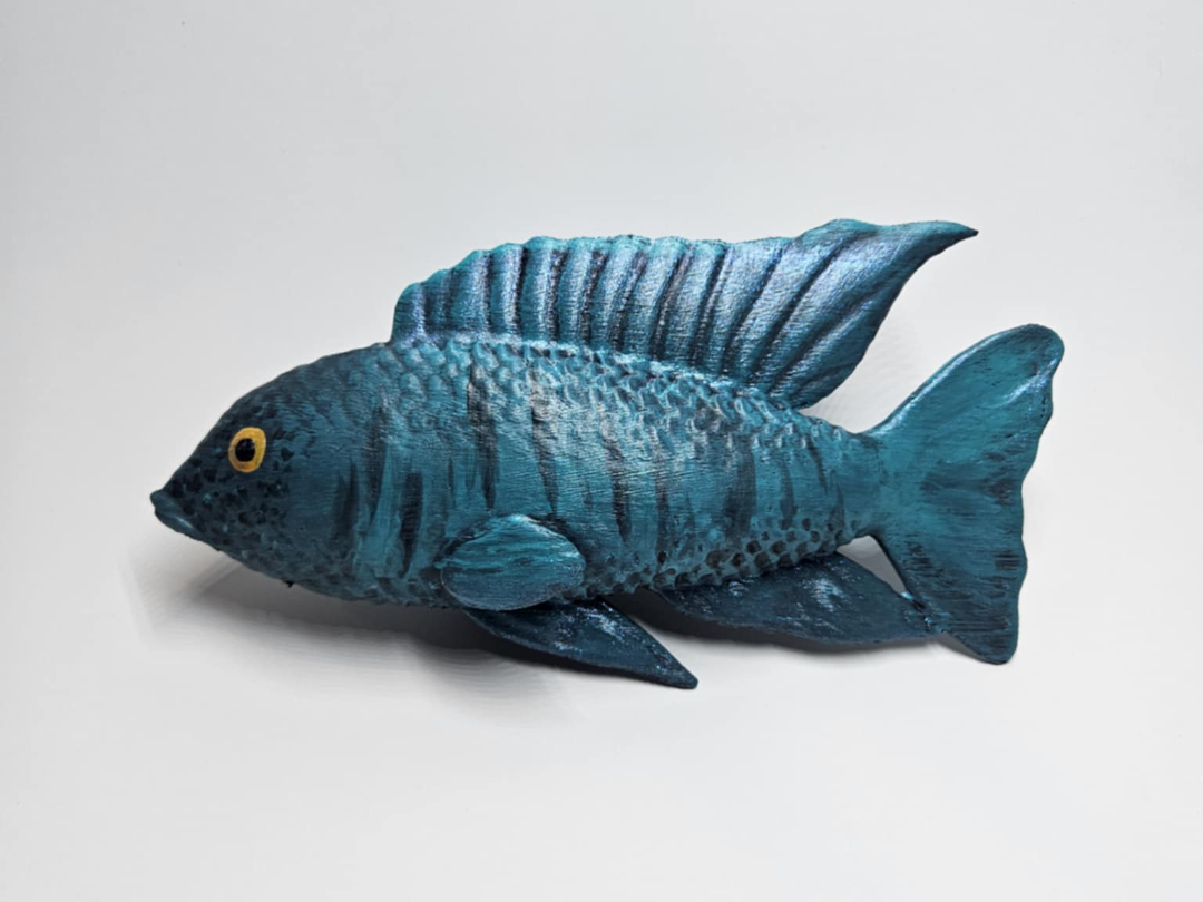 African Peacock Cichlid Sculpture
