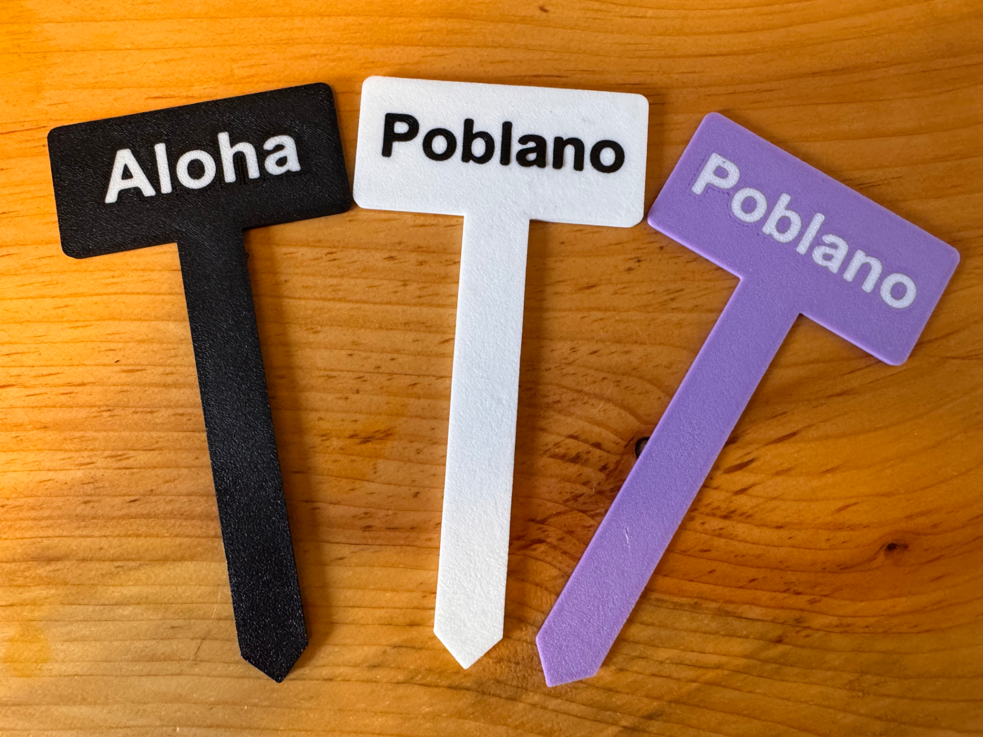 Plant Marker - Customizable Text (Outdoor/PETG)