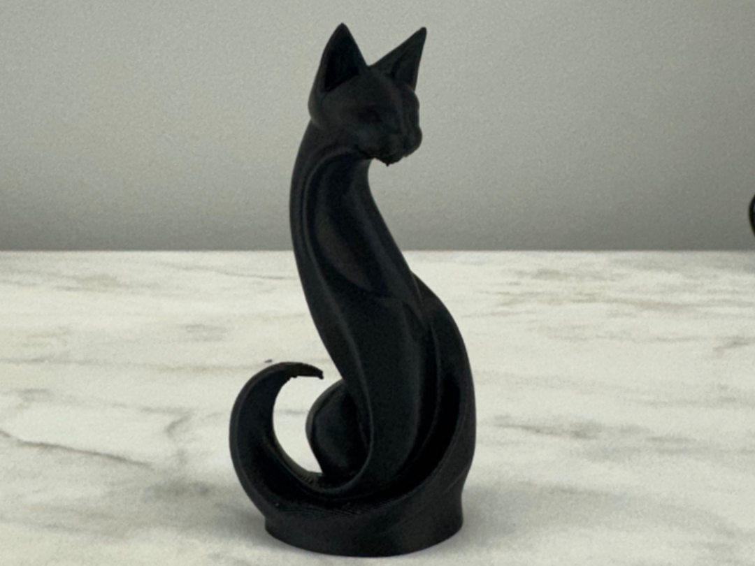gatto moderno 