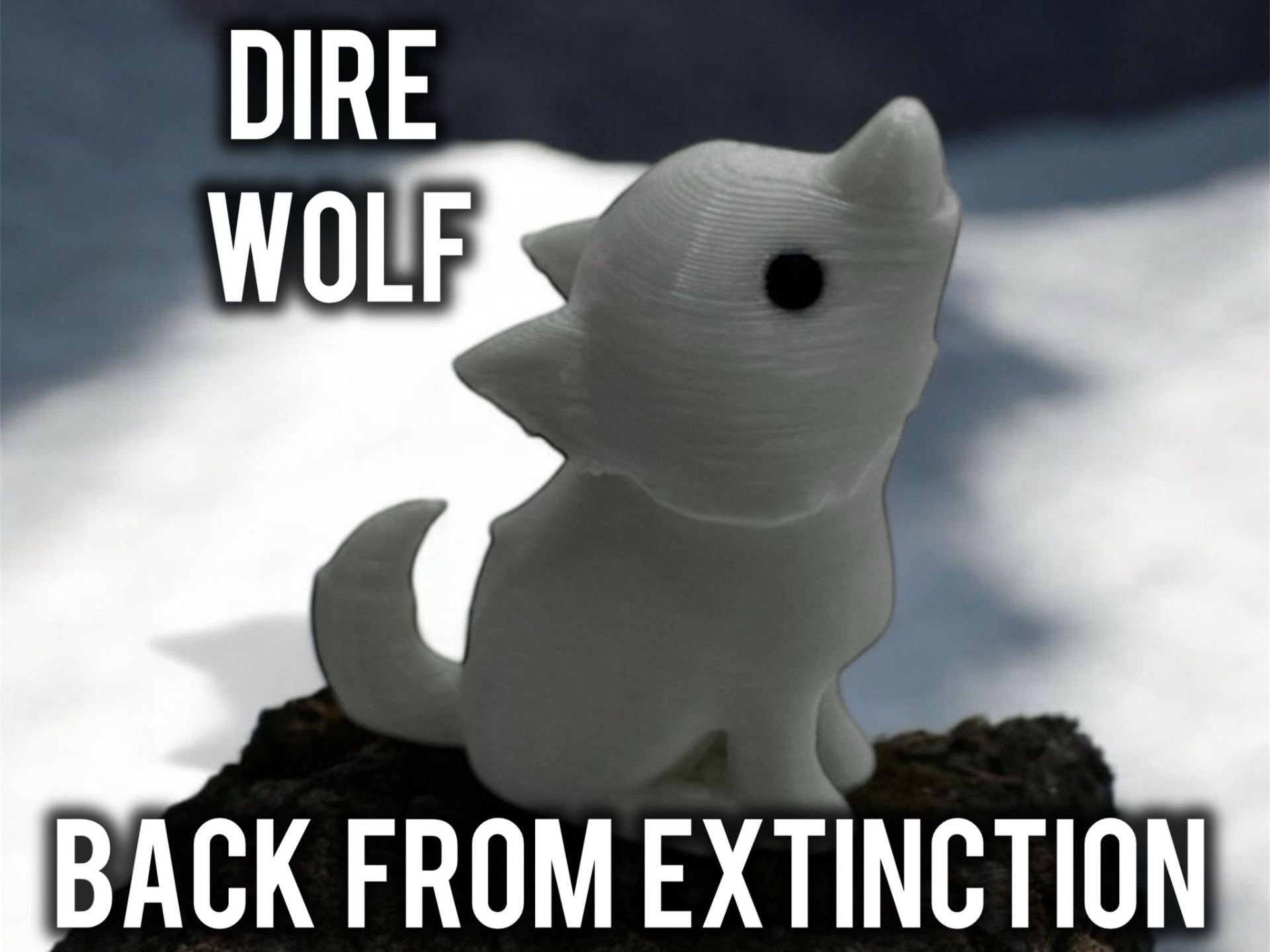 Dire Wolf keychain