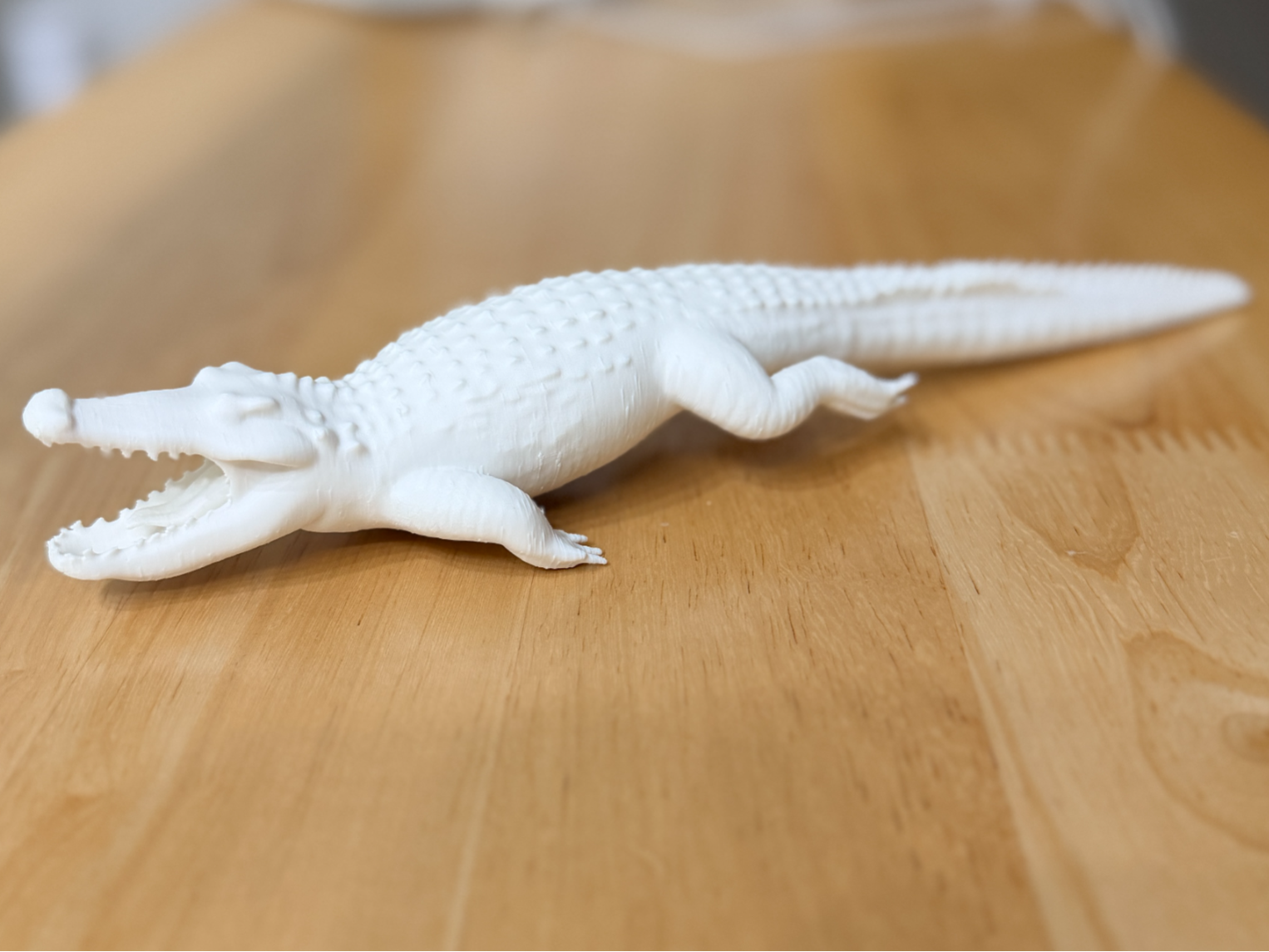 Saltwater Crocodile