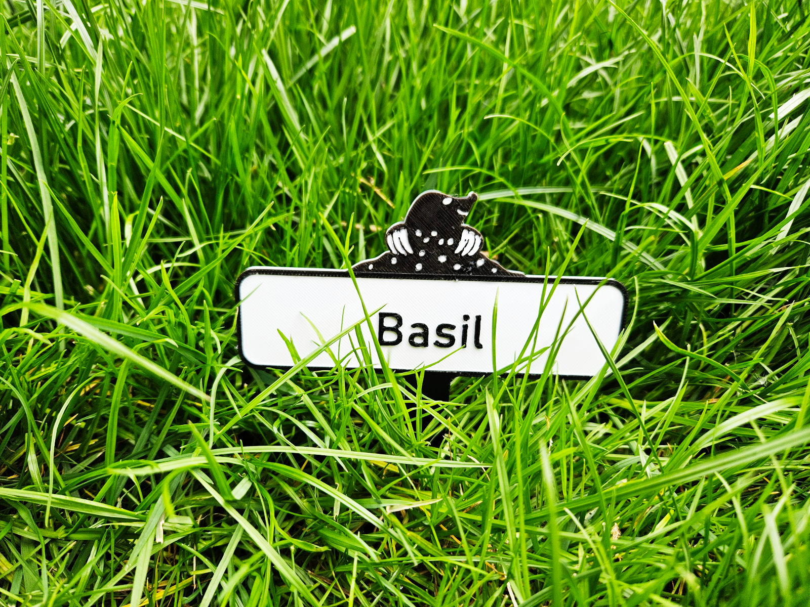 Mole Garden Tag