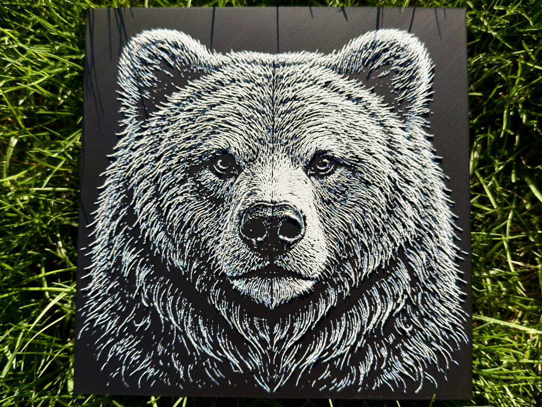 Bear Wildlife Series
