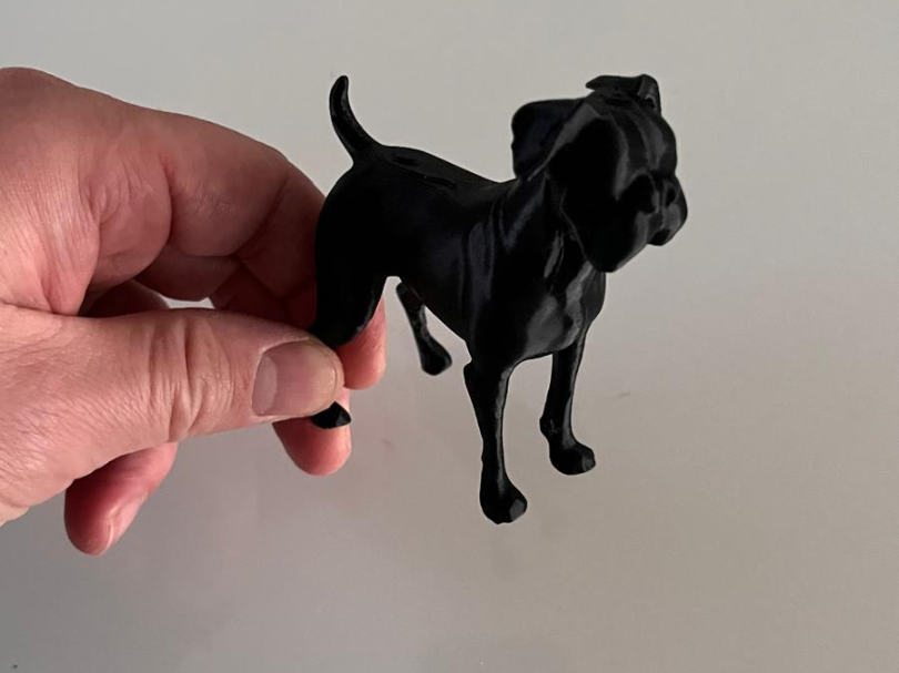 Dog 3D - Boxer