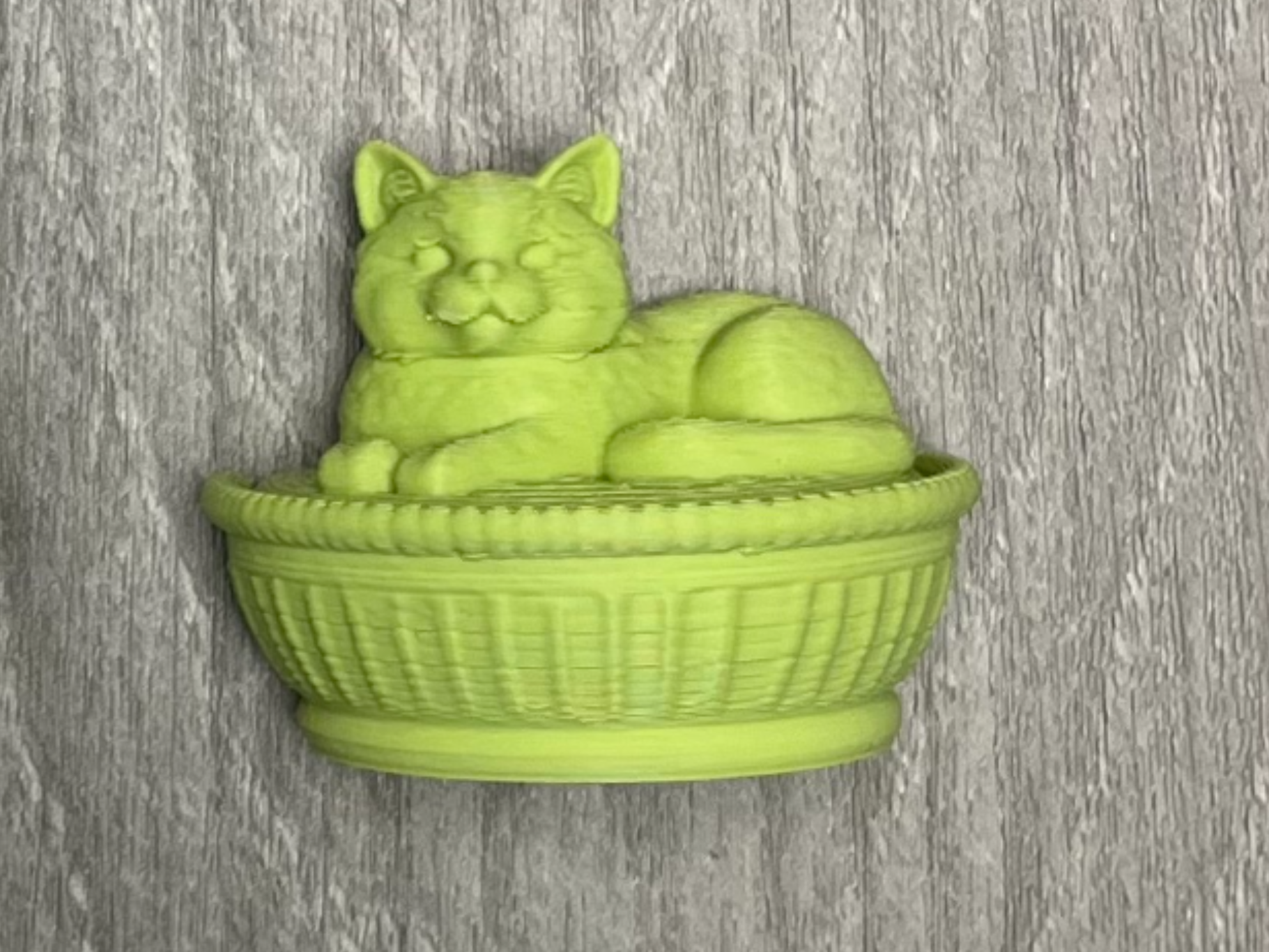 Cat On Nest Magnets