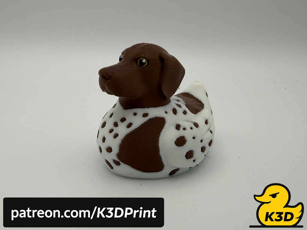 German Shorthaired Pointer Jeep Cruise Duck