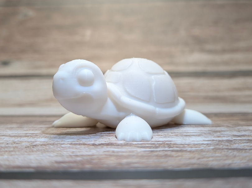 Sweet turtle, animal turtle, turtle model