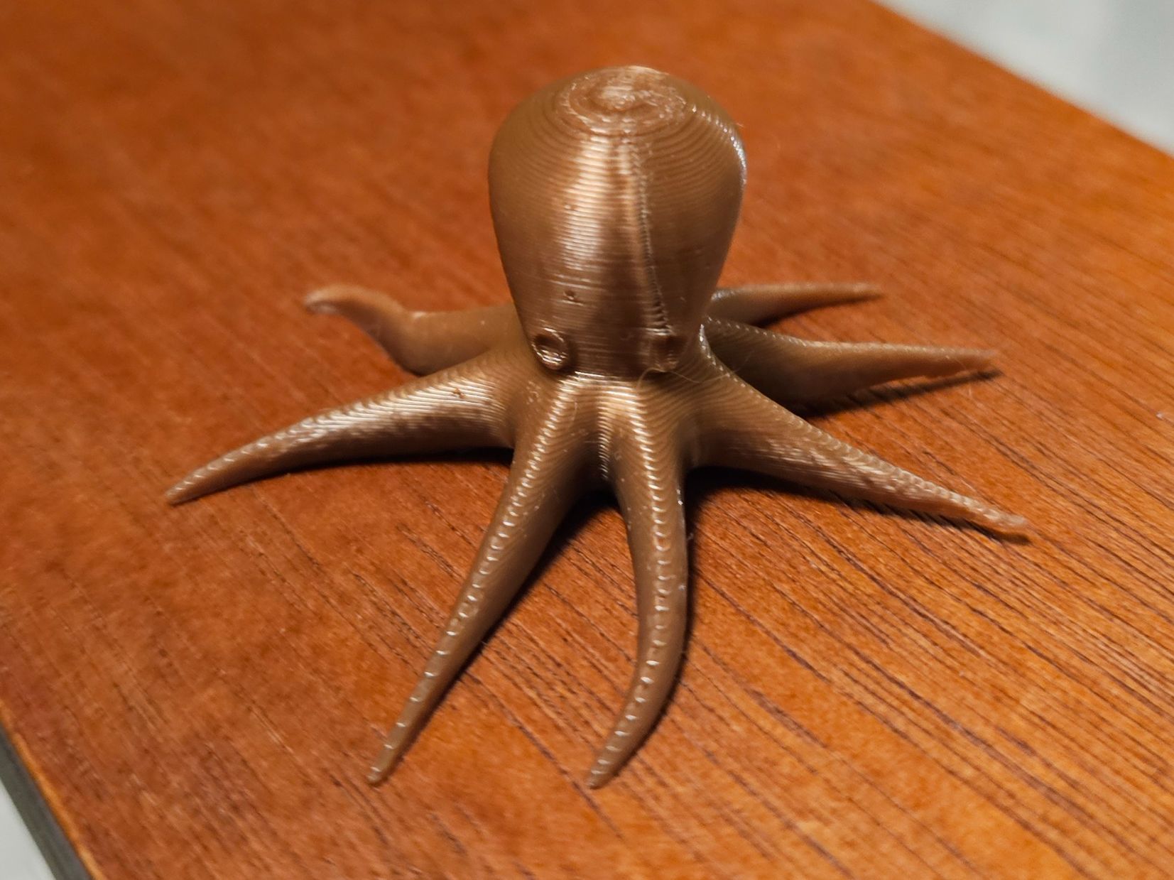 Ocopus