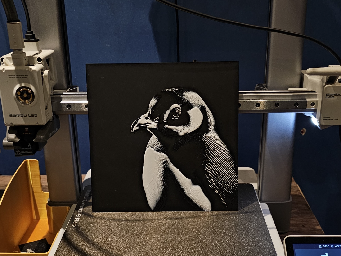 Penguin