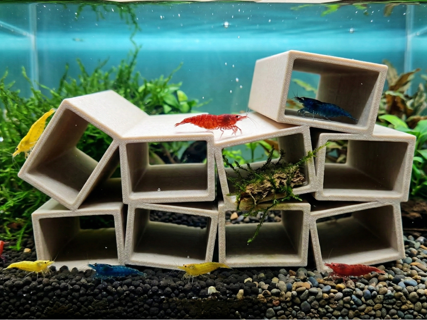 Aquarium Tubes for Shrimp 2