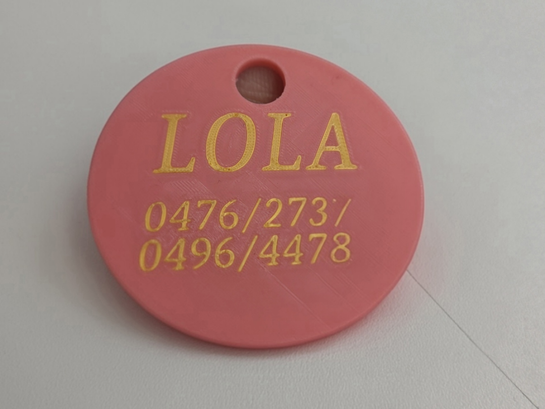Customizable pendant for dog