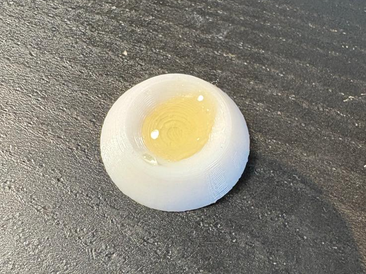 Ant Food bowl/cup